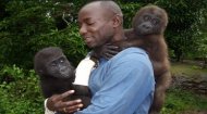 Volunteer Work Cameroon: Ape Action