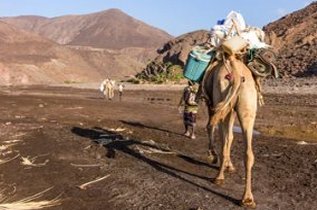 Djibouti Nomads
