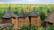 African Country Profiles: Mali
