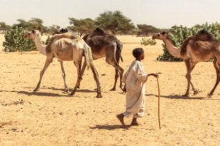 Volunteer in Sudan