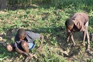 Child Labour in Haiti