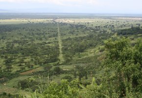 Africa Safari