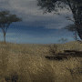 Africa Animations 7