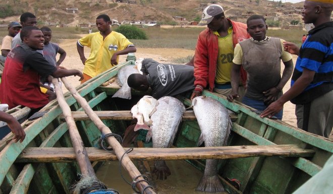 Life in Angola