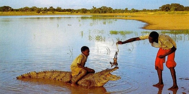 Daily Life in Rural Chad
