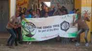 Volunteer Work Congo: The Congo Tree