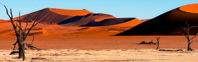 Kalahari Desert Landscape