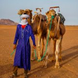 Living in African Deserts