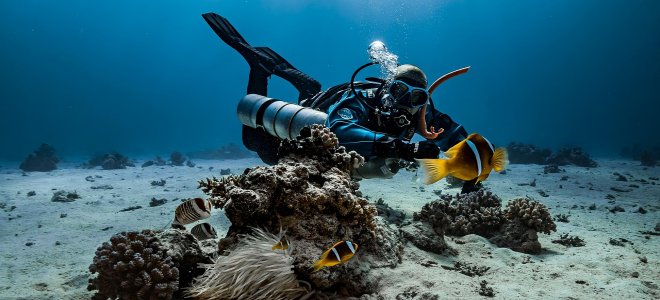 Djibouti Marine Life