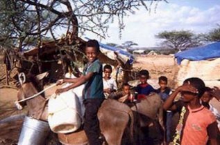 Daily Life in Eritrea