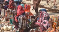 Volunteer Work Eritrea: Go Volunteer Africa