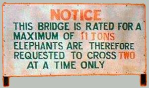 Best Funny African Signs