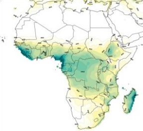 About Africa Rainfall: This file is licensed under the Creative Commons Attribution-Share Alike 3.0 Unported license