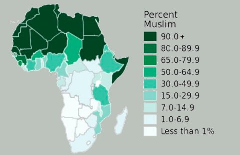 Islam in Africa Infographic