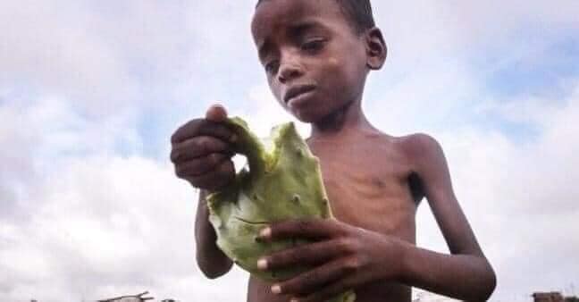 Southern Madagascar Emergency