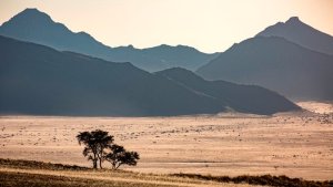 African Desert Webcam
