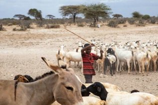 Life in Rural Kenya