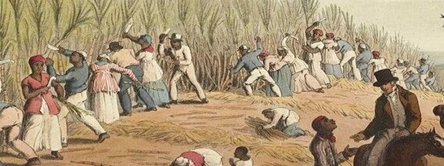 Kenyan Labour in the White Highlands
