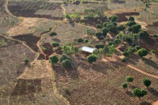 Malawi Subsistence Farming