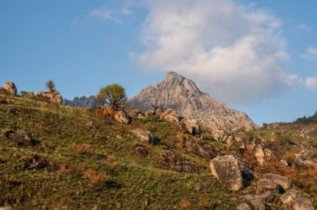 Malawi Images: Mt Mulanje
