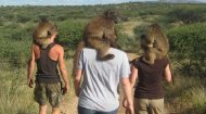 Volunteer Work Namibia: Namibia Wildlife Sanctuary