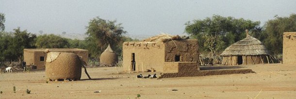 Niger Profile