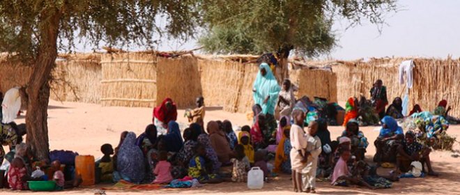 Niger Country Profile