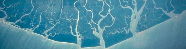 Niger Delta from Space