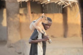 Children's Lives in Senegal