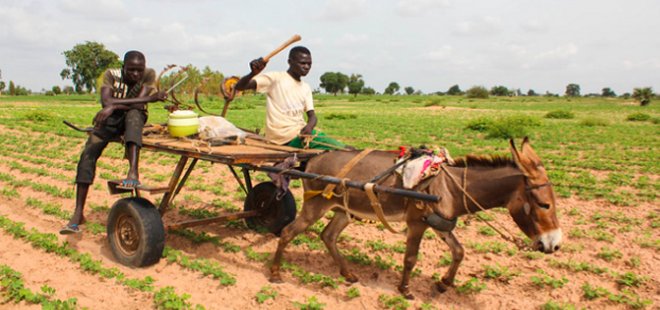 Daily Life in Rural Senegal
