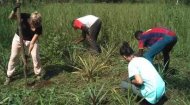 Volunteer Work Togo: Aliore